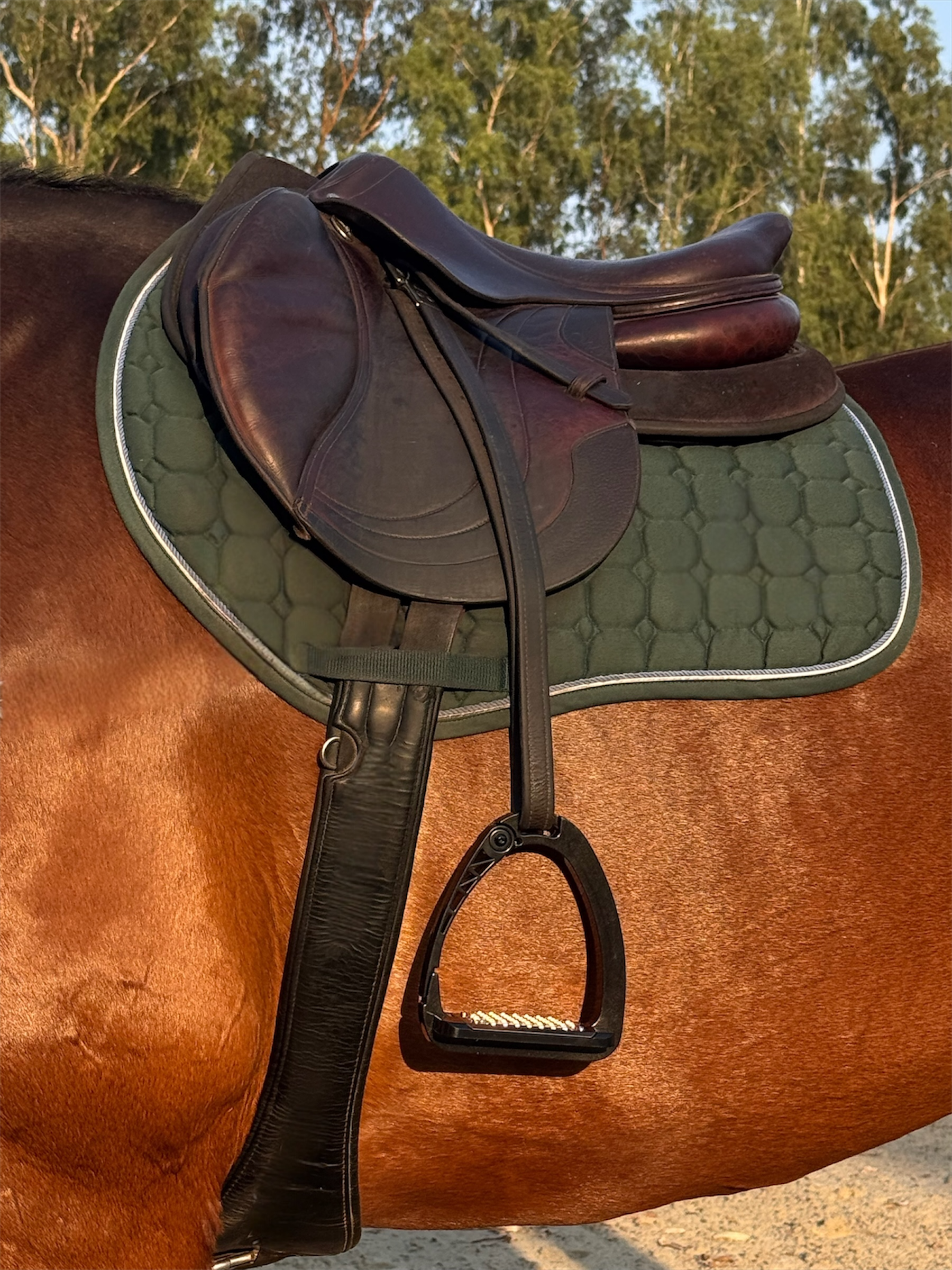 Ultra Safety Stirrups